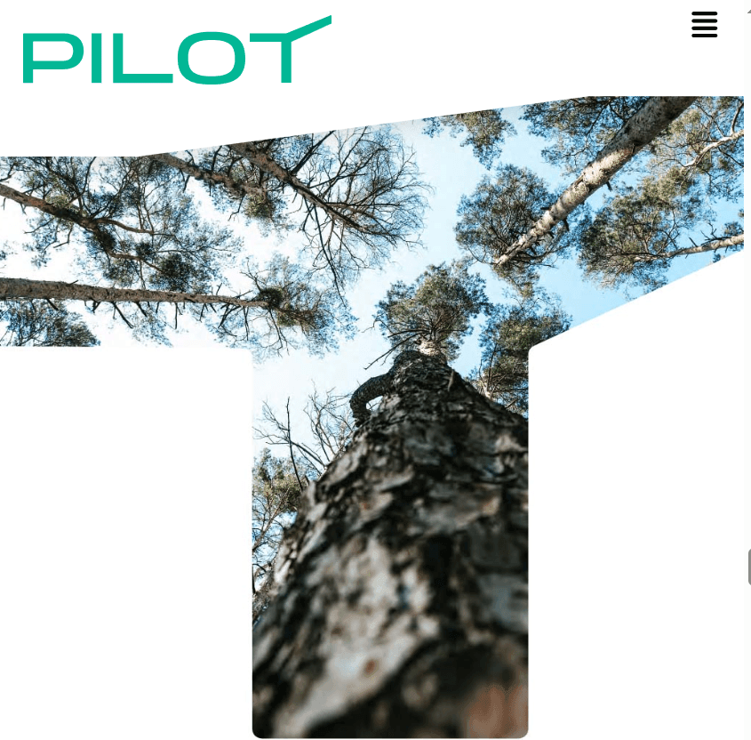 Personalized Business Portfolio Design